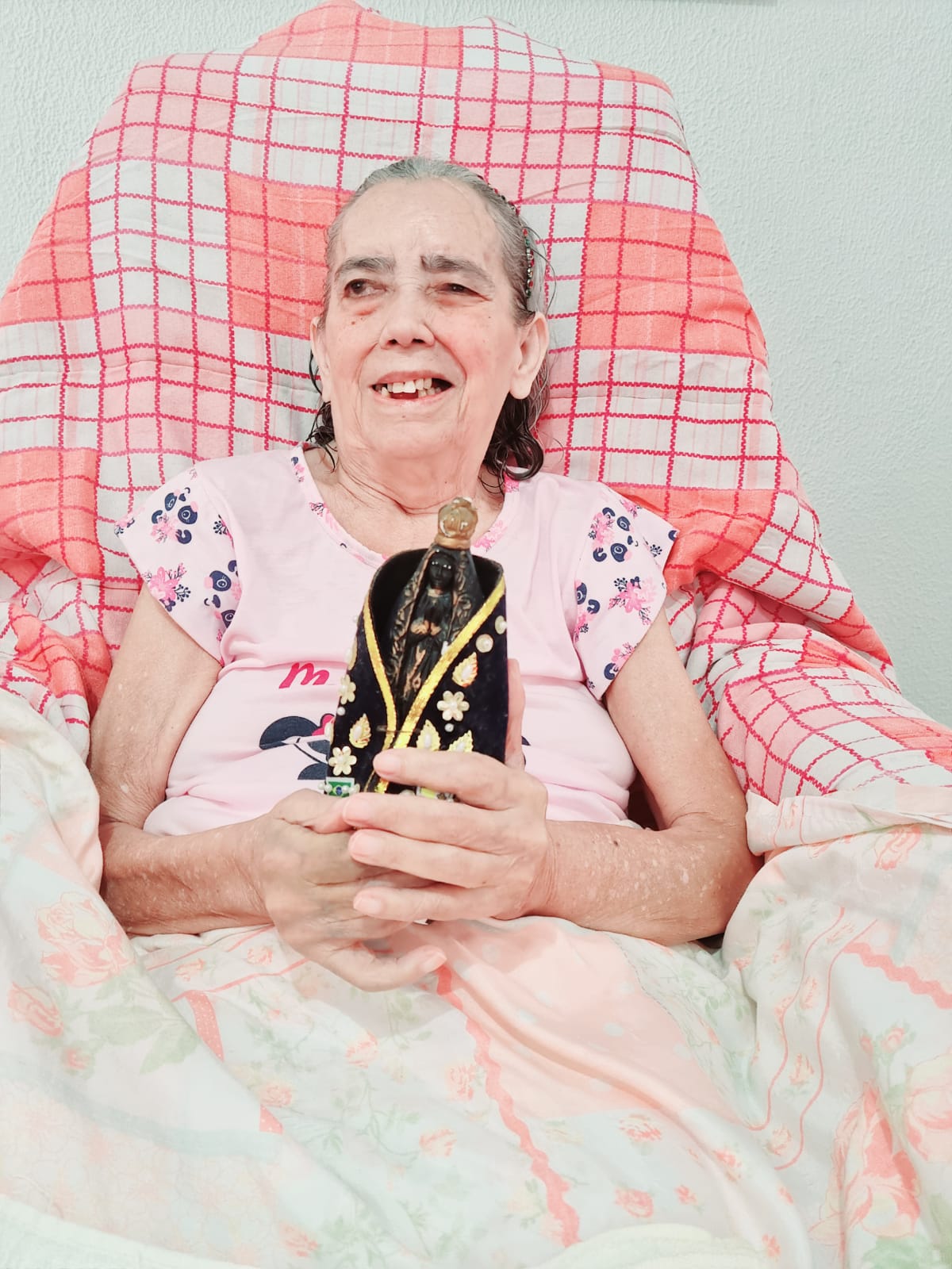 Terezinha de Araujo Pereira
