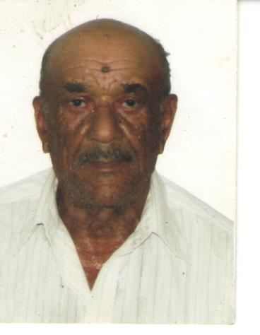 jose Marques da Silva (veio)