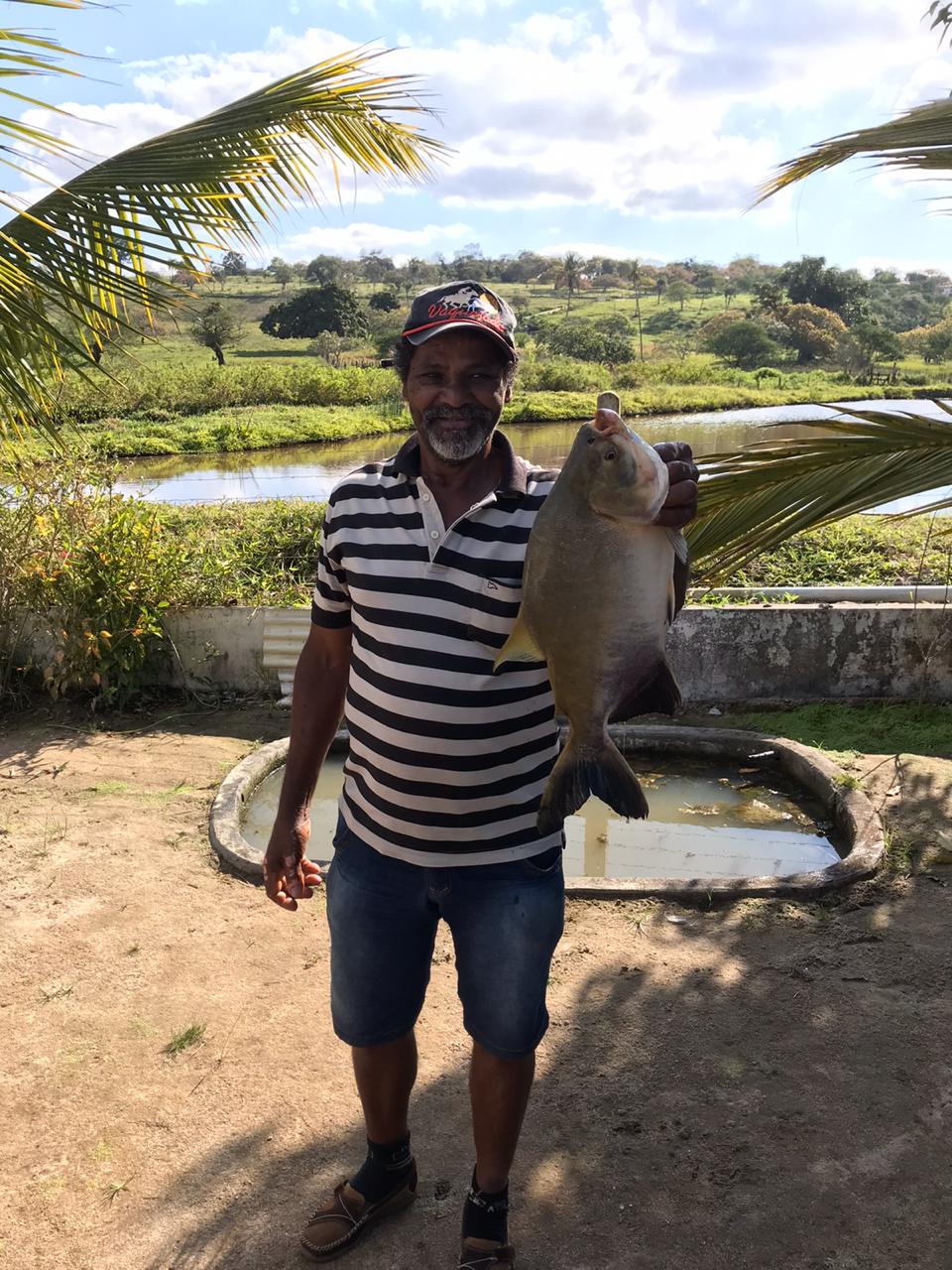 JORGE FRANCISCO DE ANDRADE