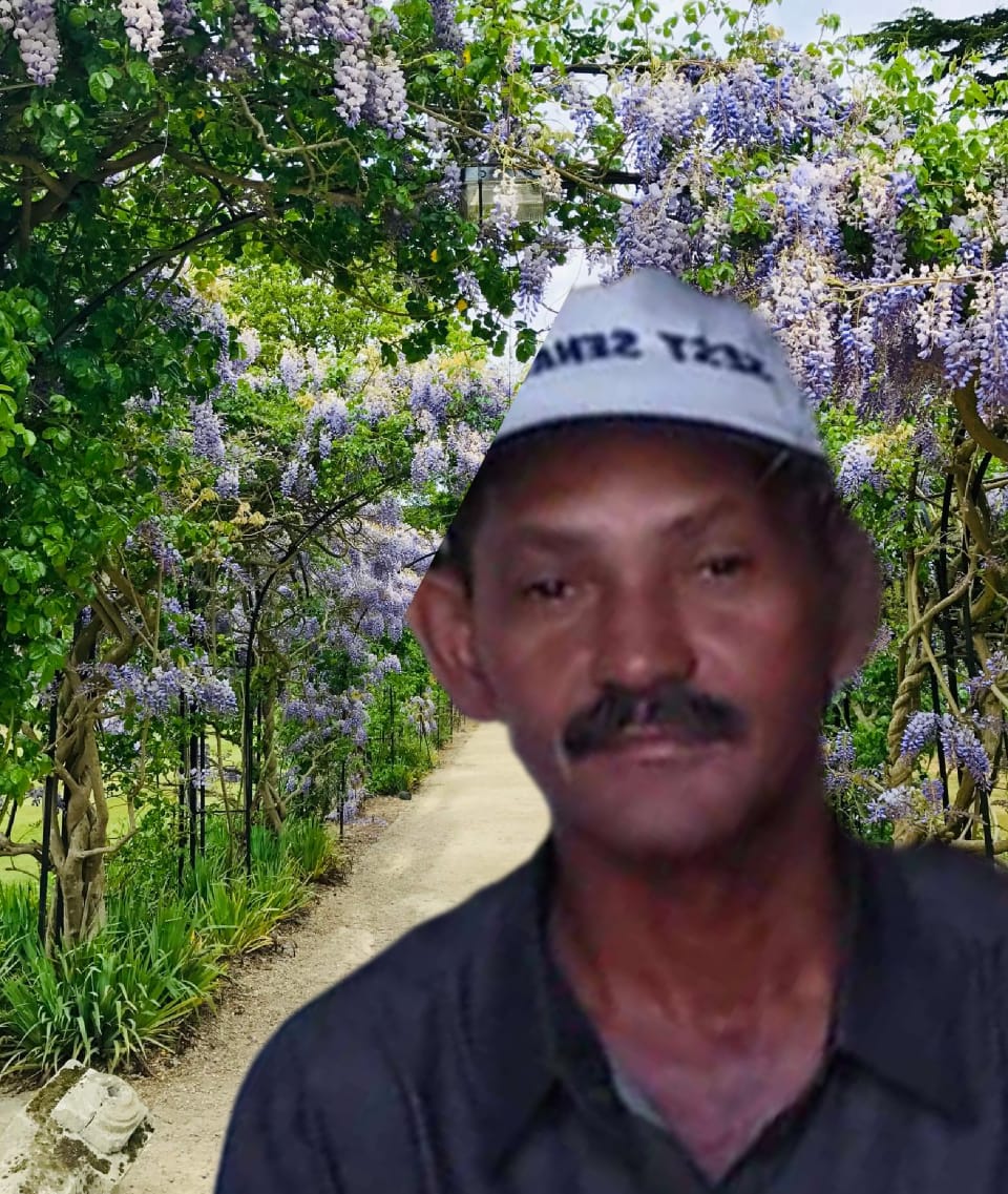 Francisco Nunes Da Silva