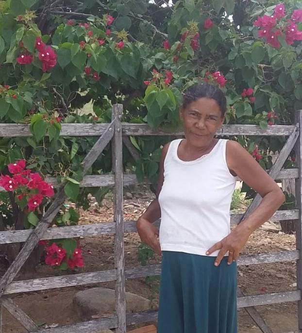 Luzanice Vieira da Silva
