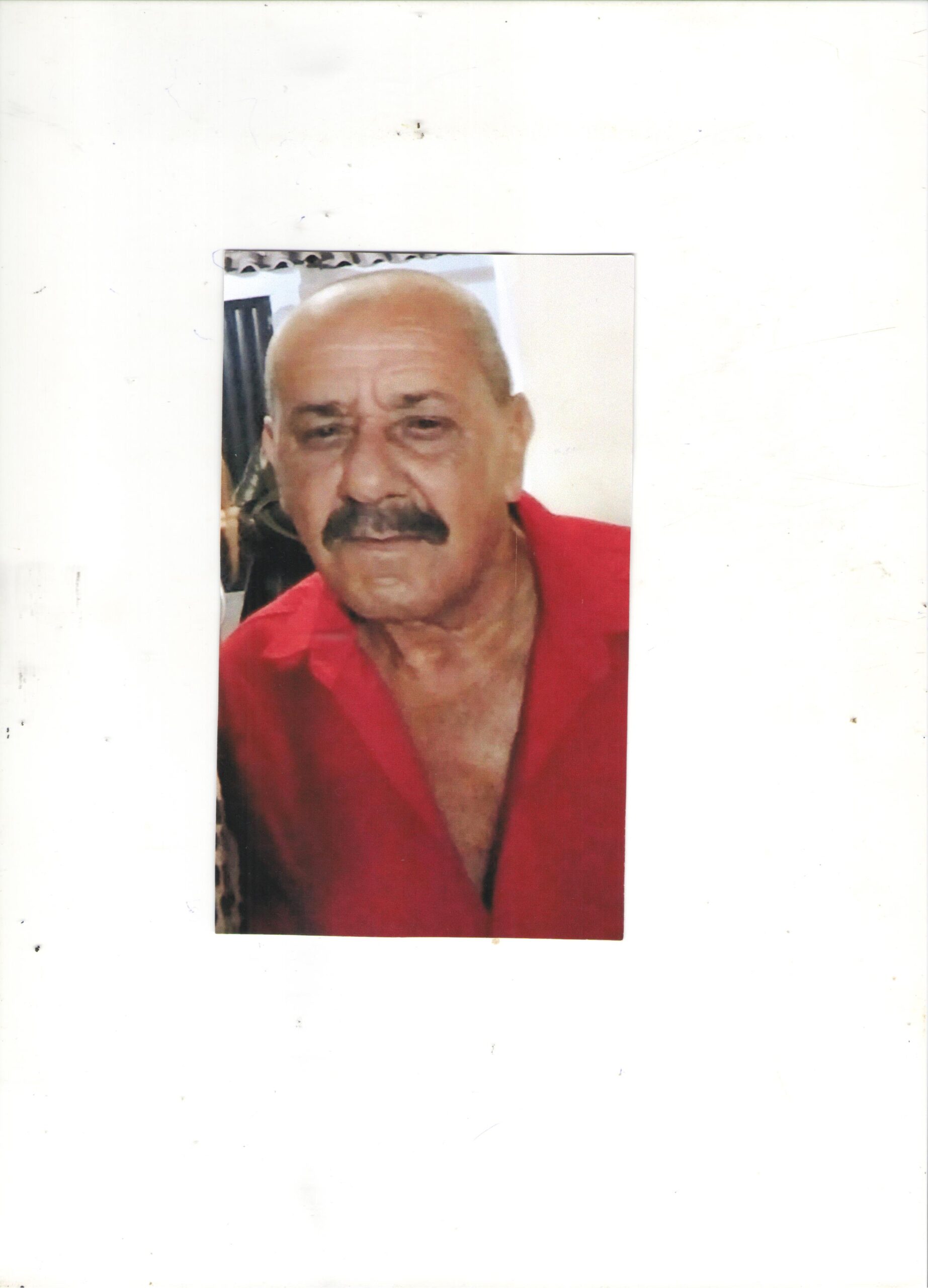 JOSÉ MAURICIO ALVES