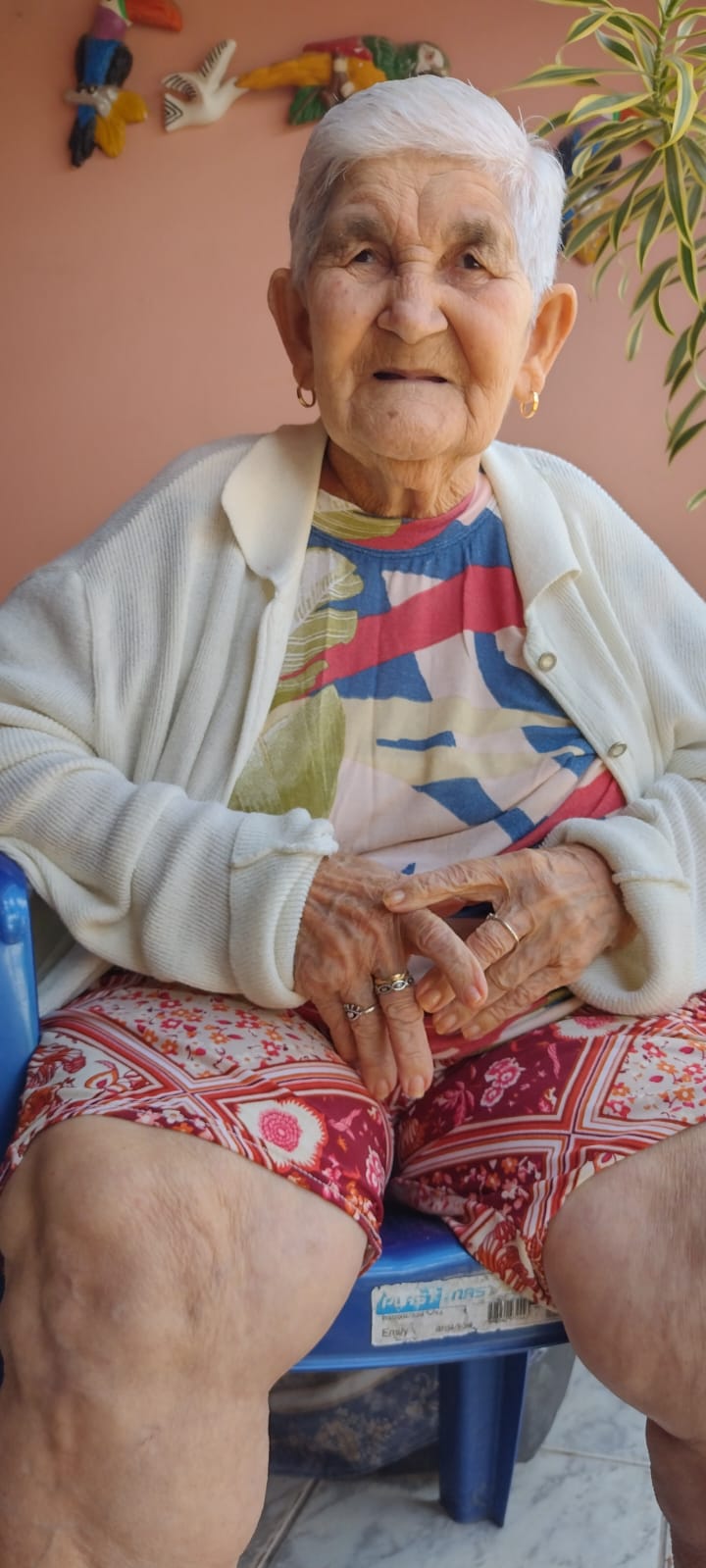 Josefa Vieira da Silva