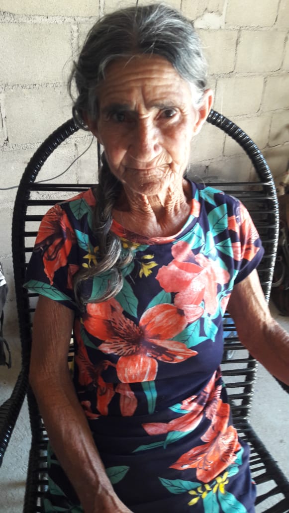 Teresa Ferreira de Araújo