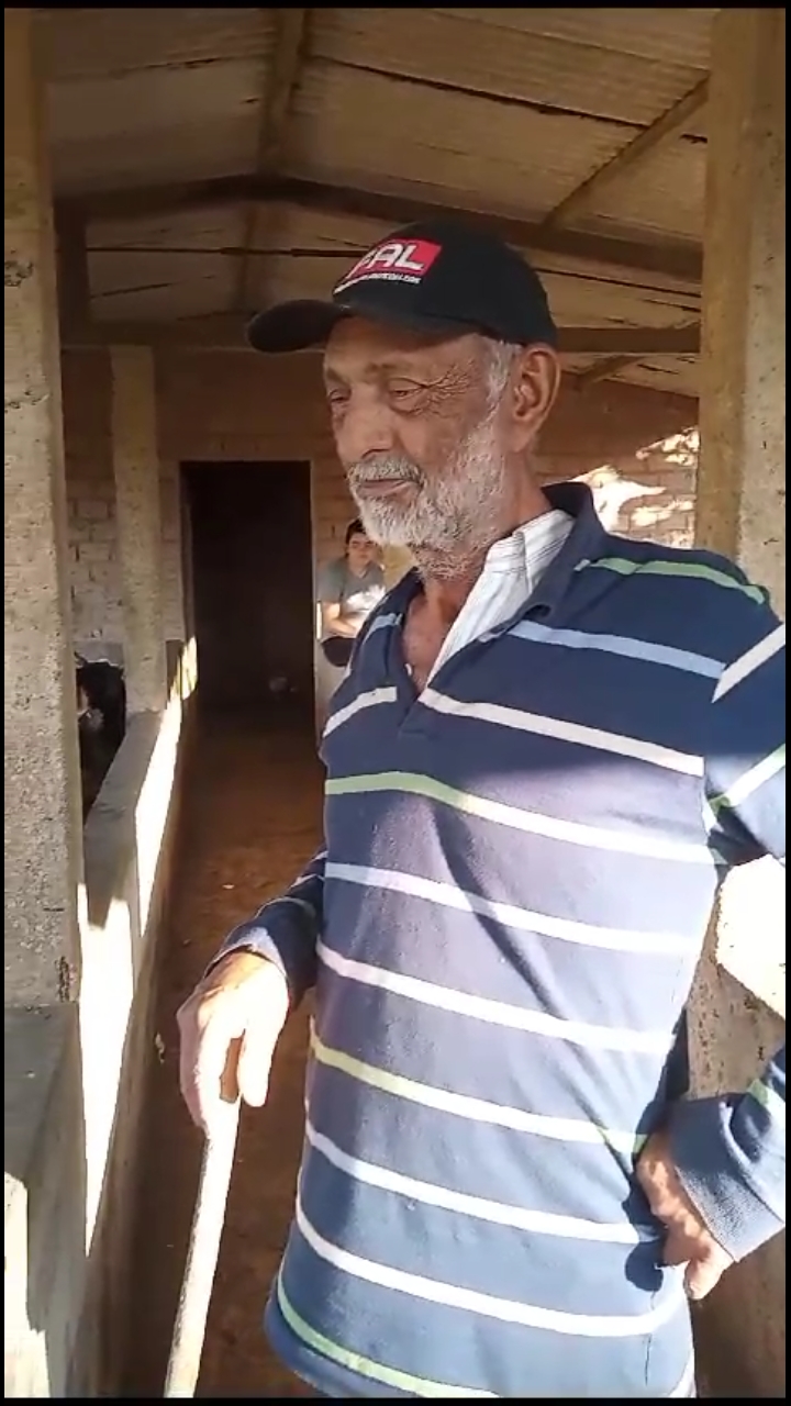 PEDRO MAMEDE FERREIRA
