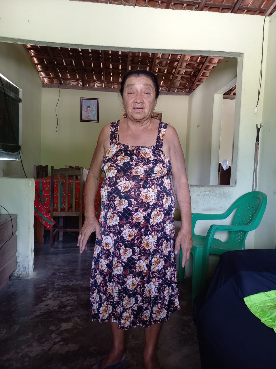 JOSEFA PASTORA DA SILVA