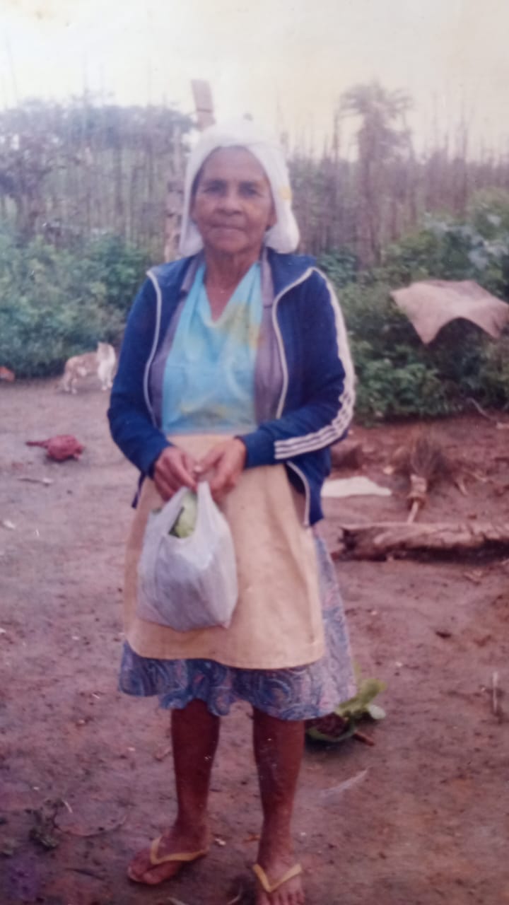 MARIA JOSE CAMPOS