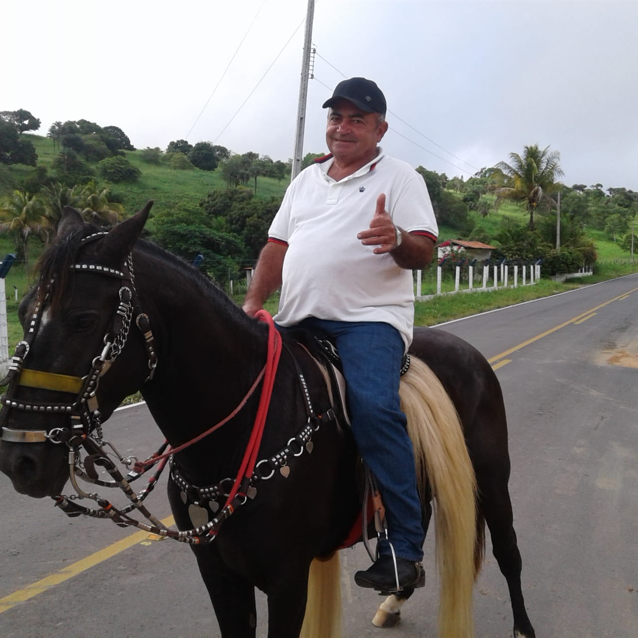 GILBERTO PEREIRA BRANDÃO