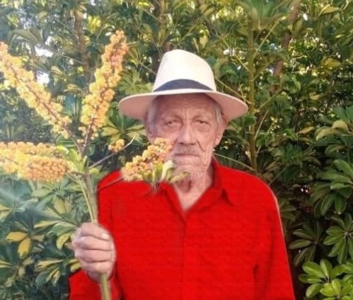 JOSE AGOSTINHO GOMES