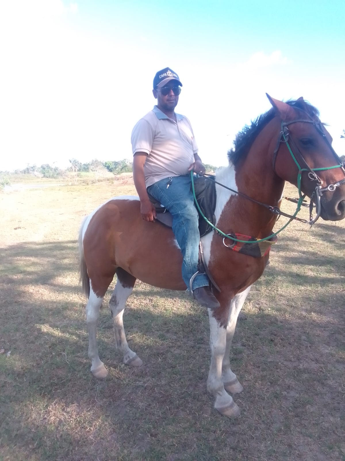 ADILSON CARDOZO DE OLIVEIRA