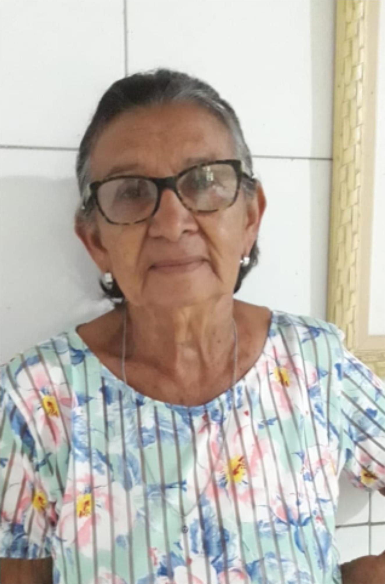 CICERA VERONICA DA SILVA