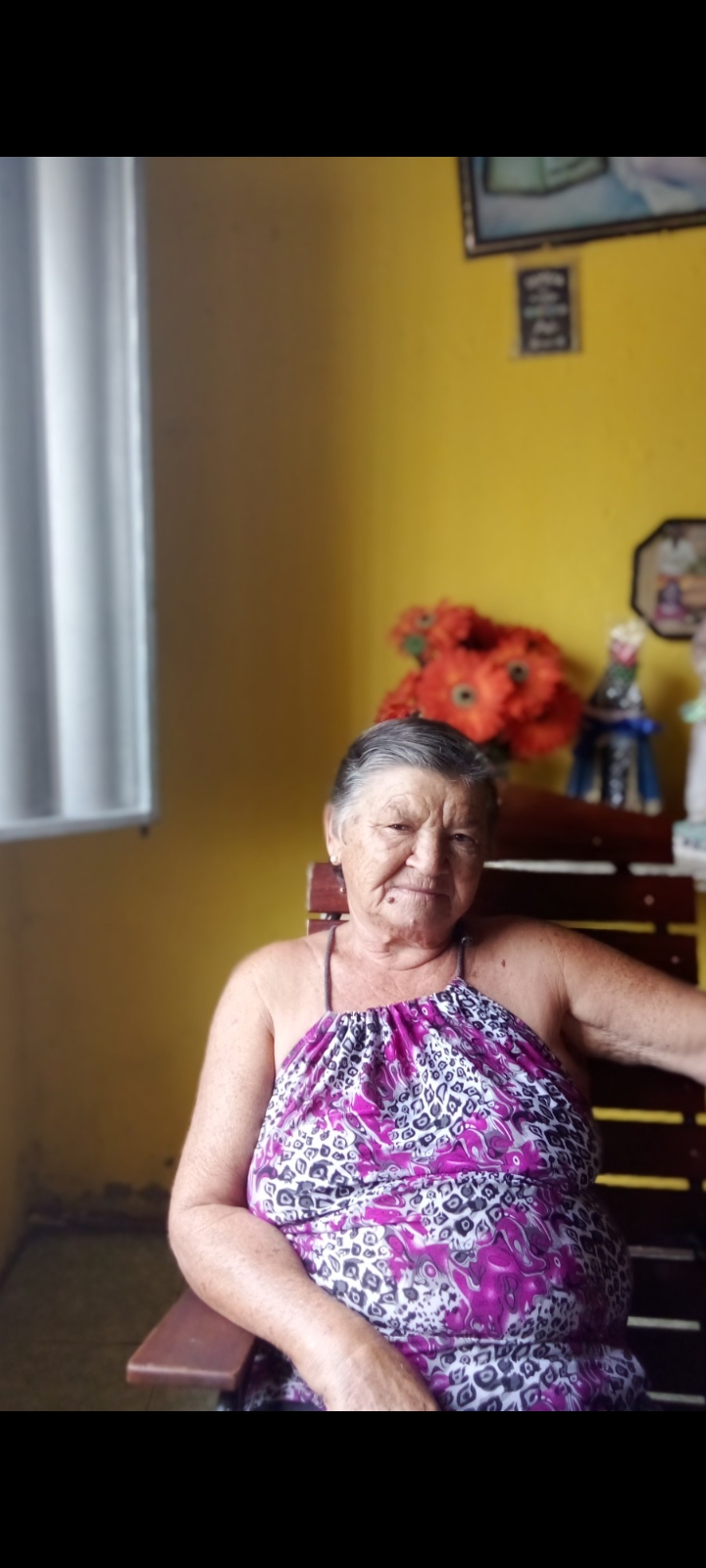 MARIA VIRGINIA DA SILVA
