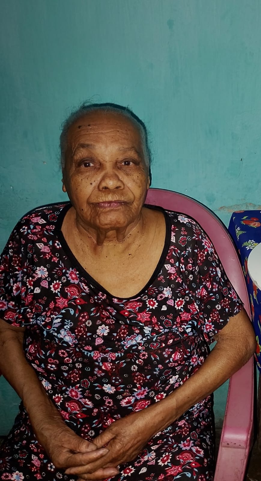 ELVIRA GUILHERME PEREIRA