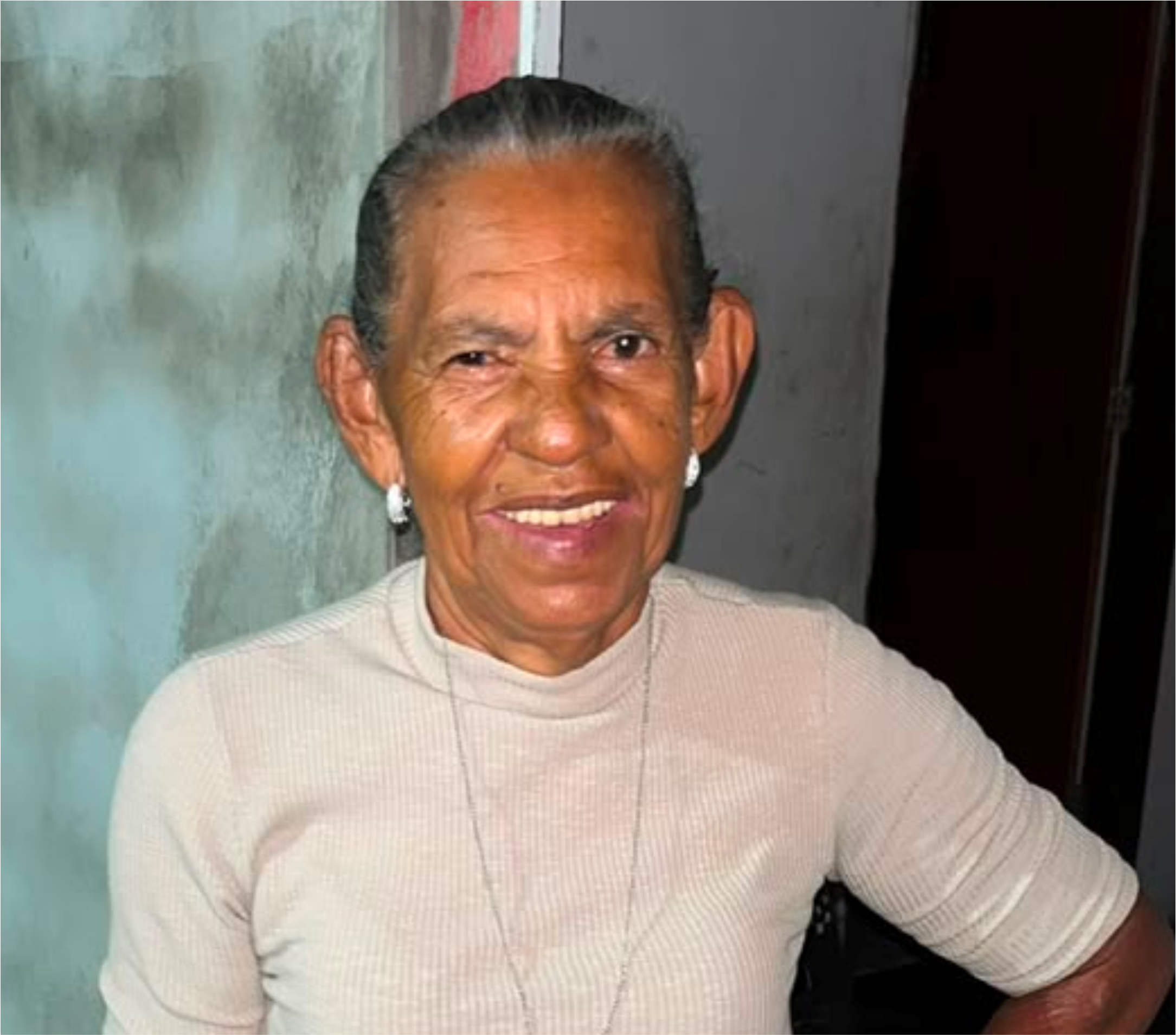 EDICIULA ARAUJO DA SILVA
